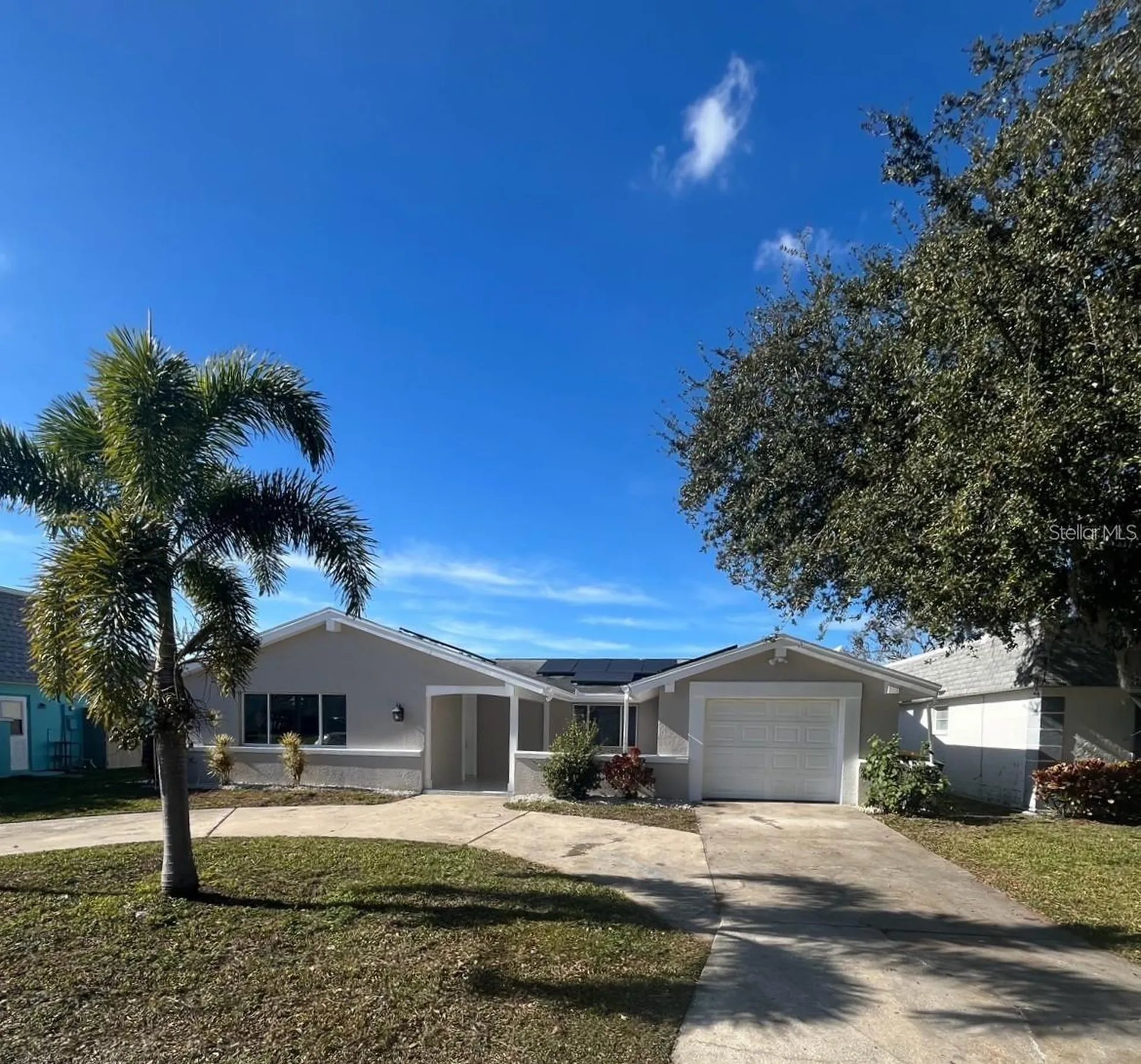 3631 Grayton Drive New Port Richey FL 34652