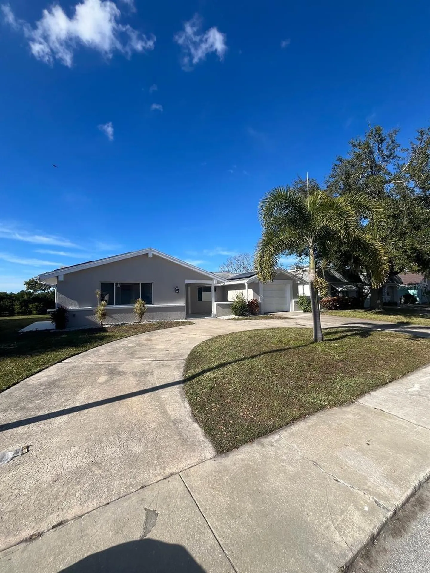 3631 Grayton Drive New Port Richey FL 34652