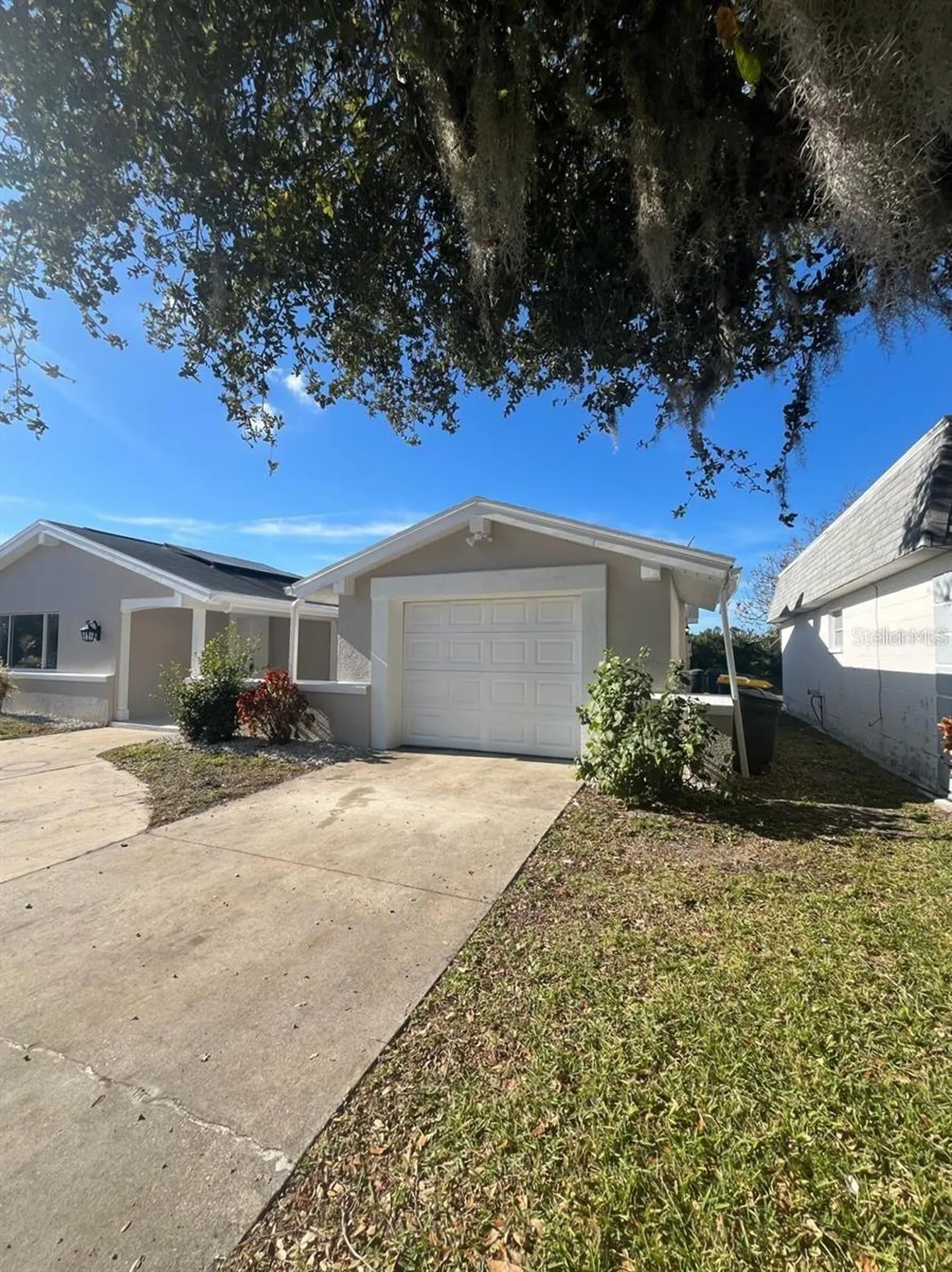 3631 Grayton Drive New Port Richey FL 34652
