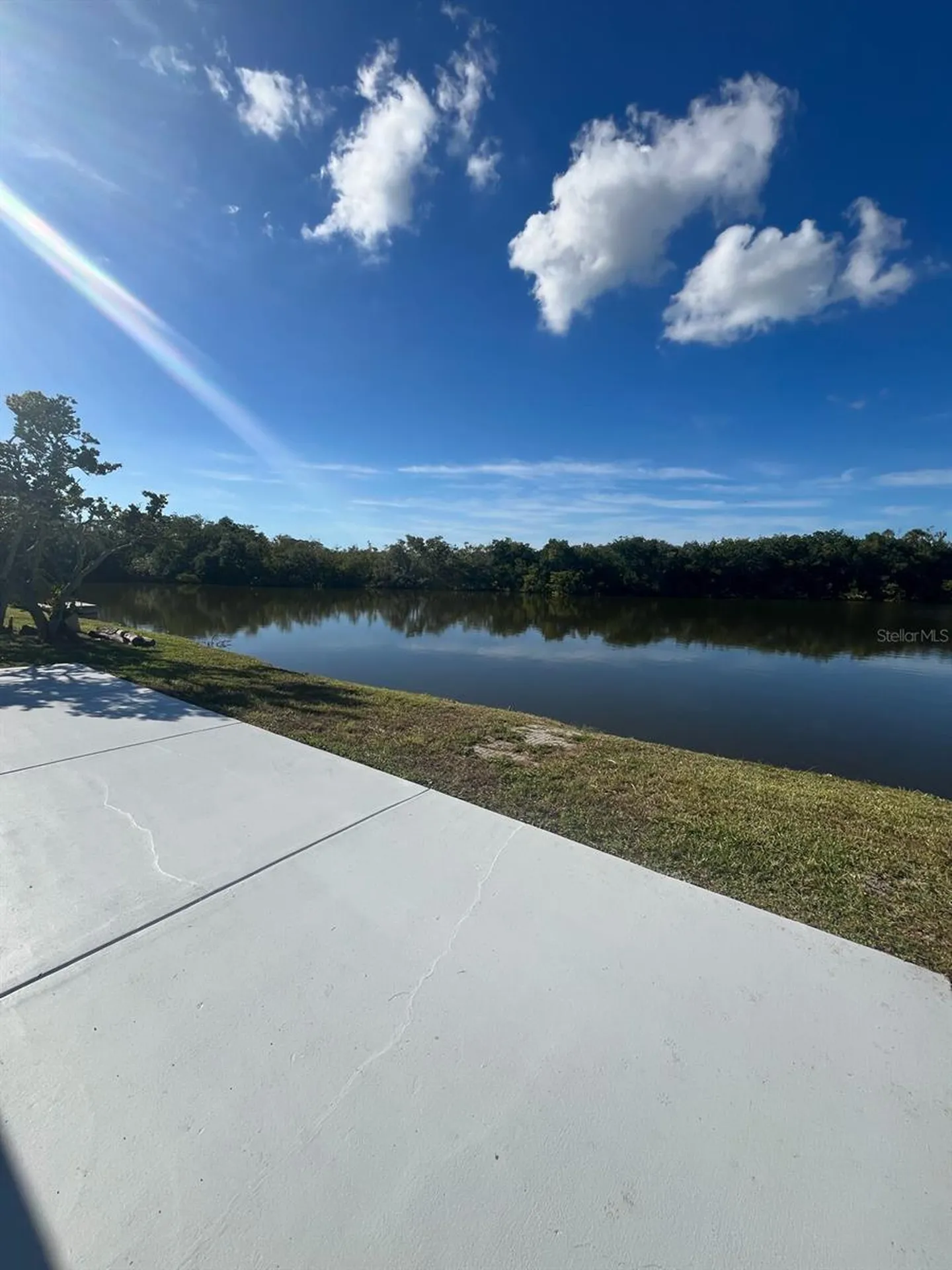3631 Grayton Drive New Port Richey FL 34652
