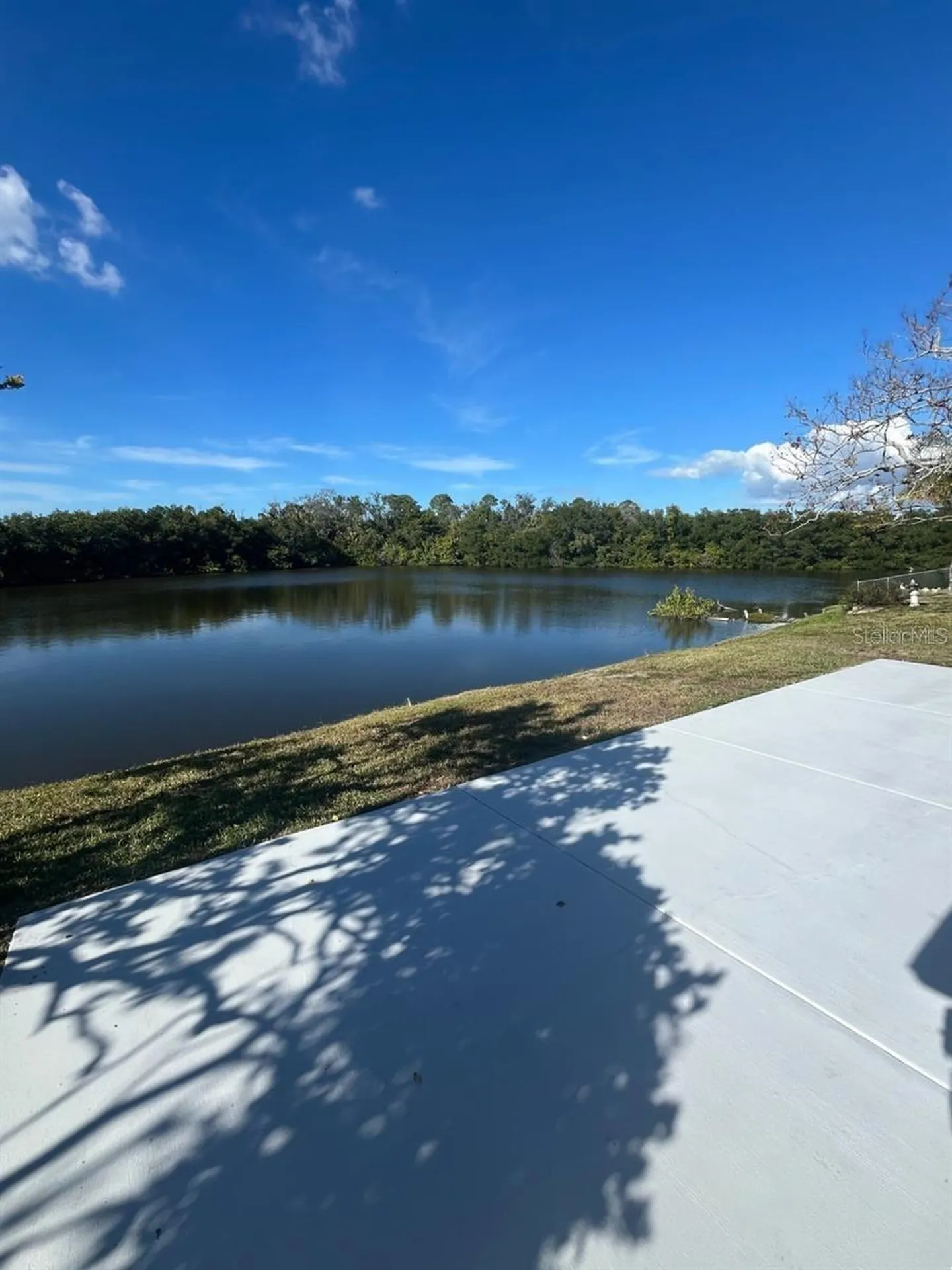 3631 Grayton Drive New Port Richey FL 34652