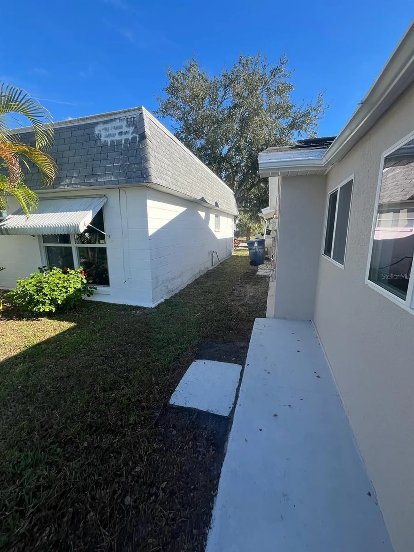 3631 Grayton Drive New Port Richey FL 34652