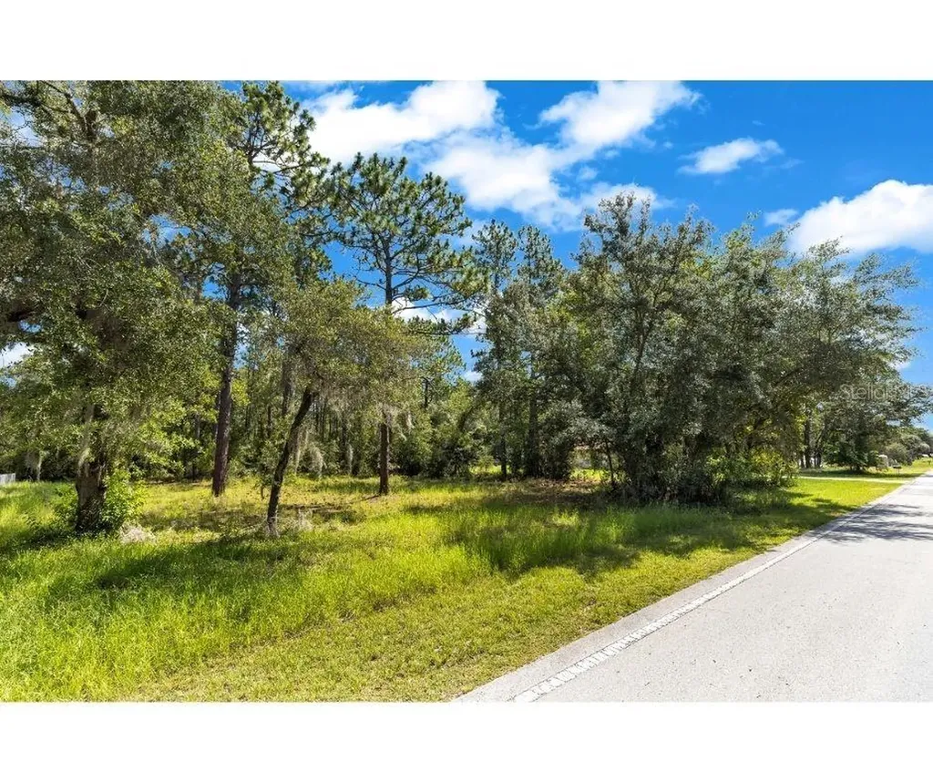 Lot 40 SW Marine Boulevard Dunnellon FL 34431