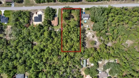 Lot 40 SW Marine Boulevard Dunnellon FL 34431