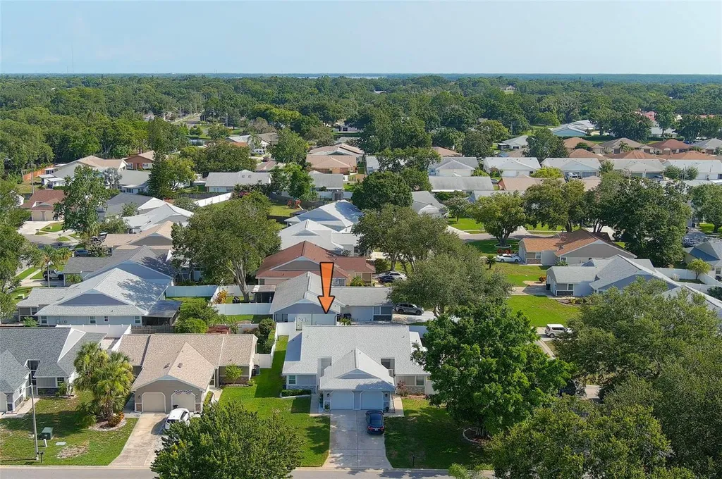 3251 Latana Drive Palm Harbor FL 34684