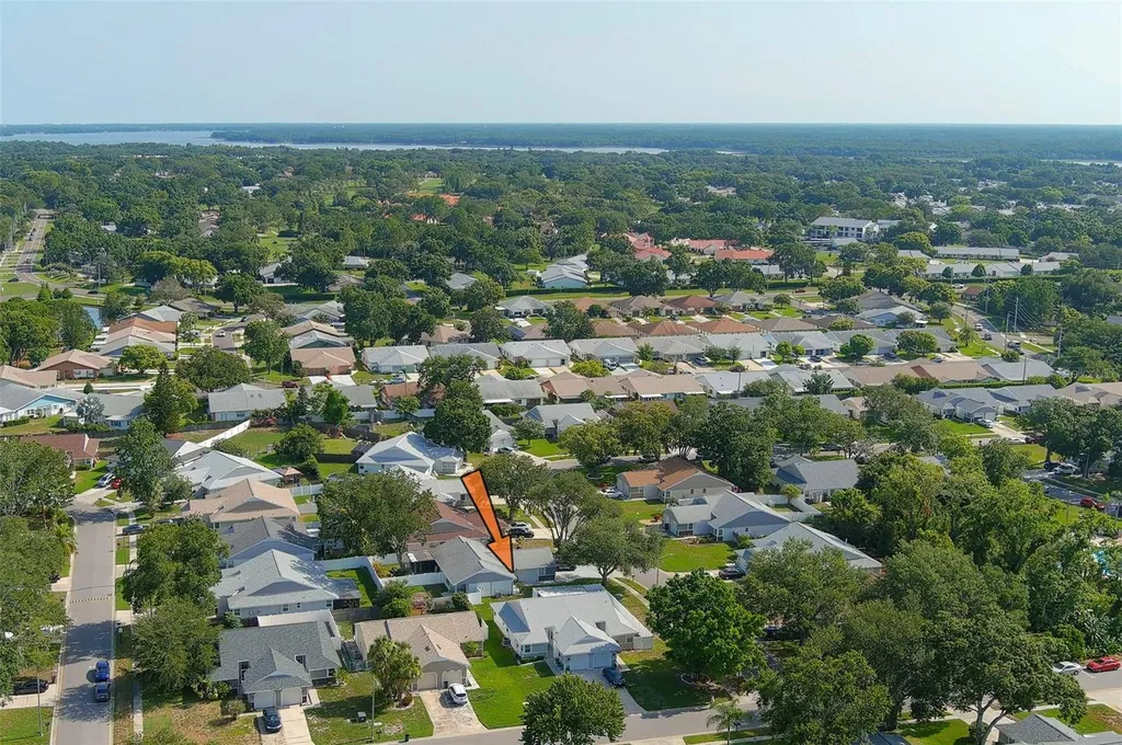 3251 Latana Drive Palm Harbor FL 34684