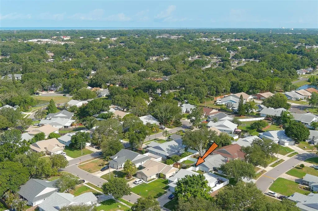 3251 Latana Drive Palm Harbor FL 34684