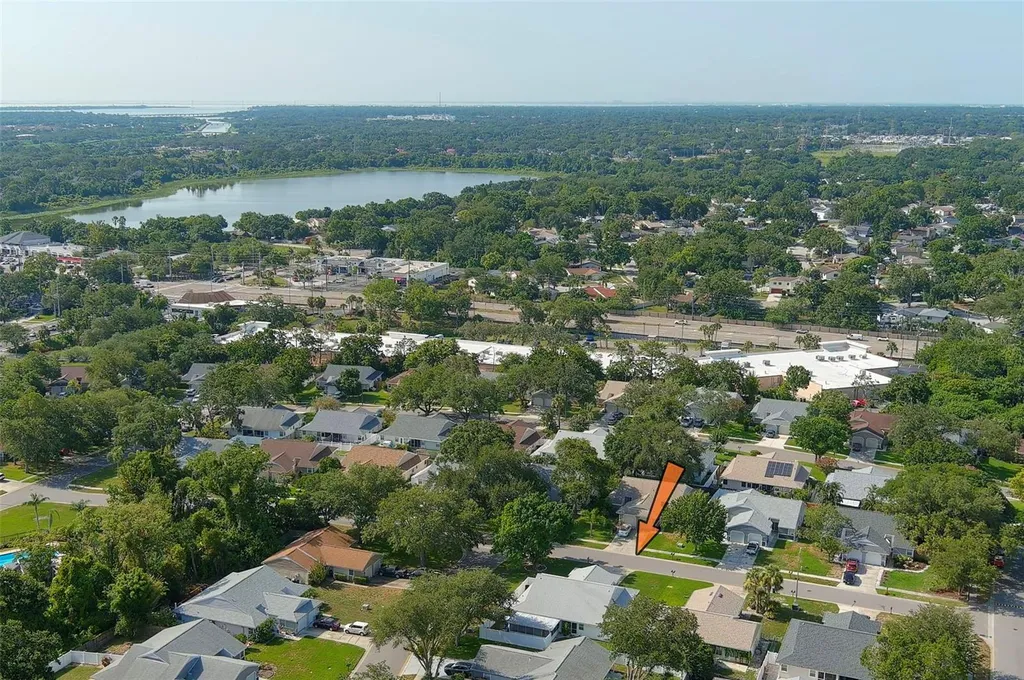 3251 Latana Drive Palm Harbor FL 34684
