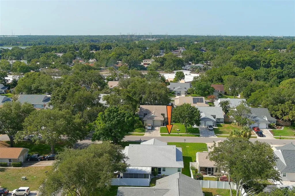 3251 Latana Drive Palm Harbor FL 34684