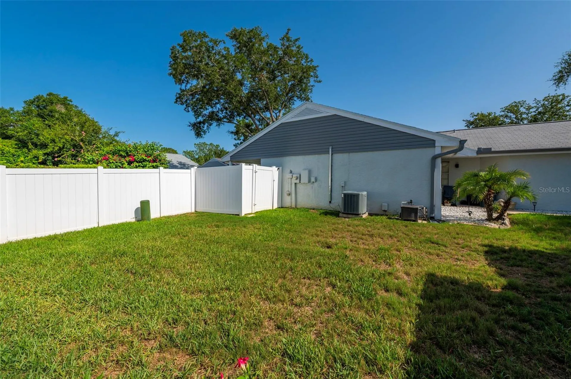 3251 Latana Drive Palm Harbor FL 34684