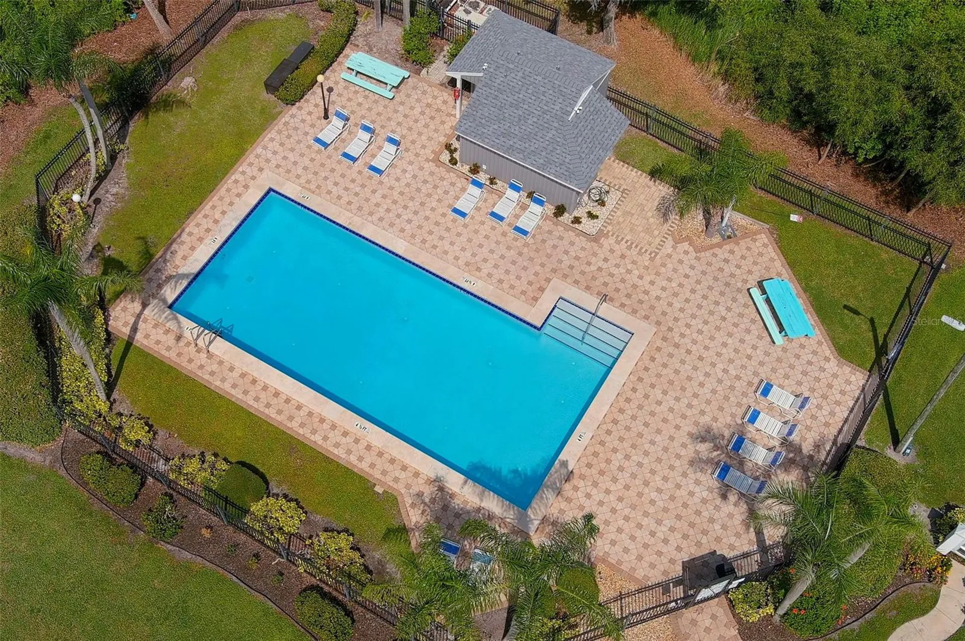 3251 Latana Drive Palm Harbor FL 34684