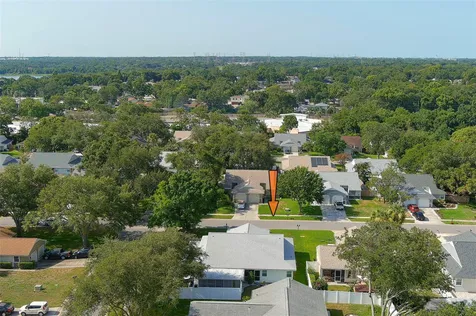 3251 Latana Drive Palm Harbor FL 34684
