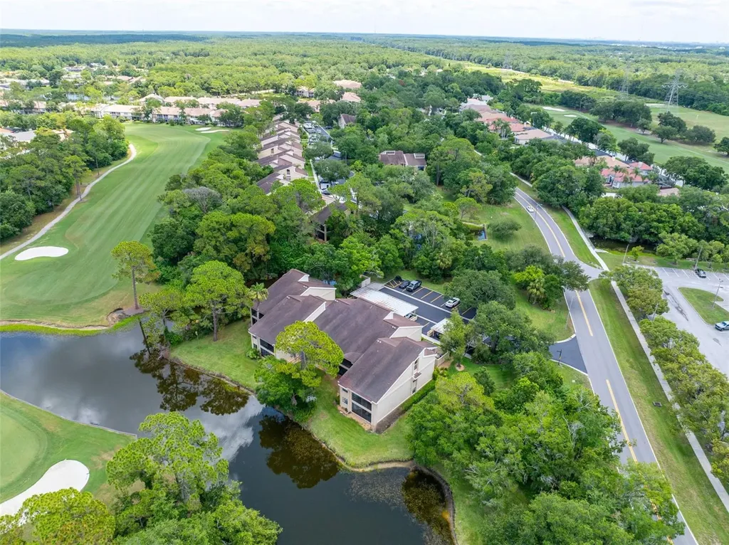 60 St Andrews Place Oldsmar FL 34677