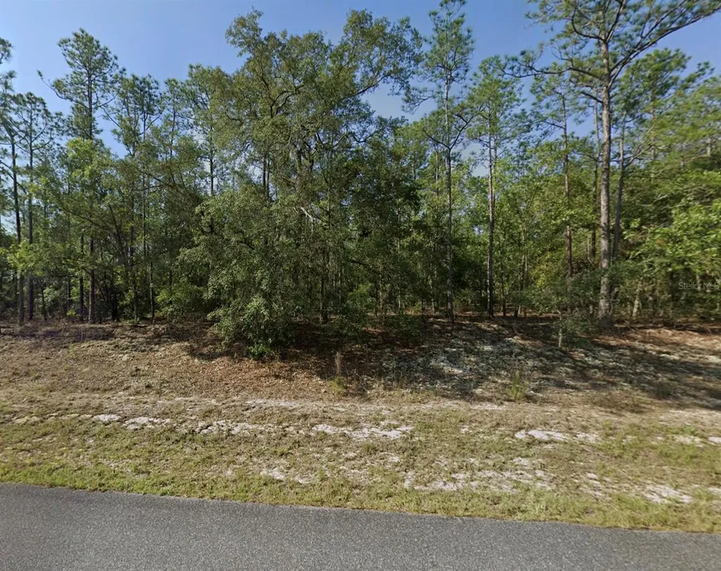 608 E Bimini Drive Dunnellon FL 34434