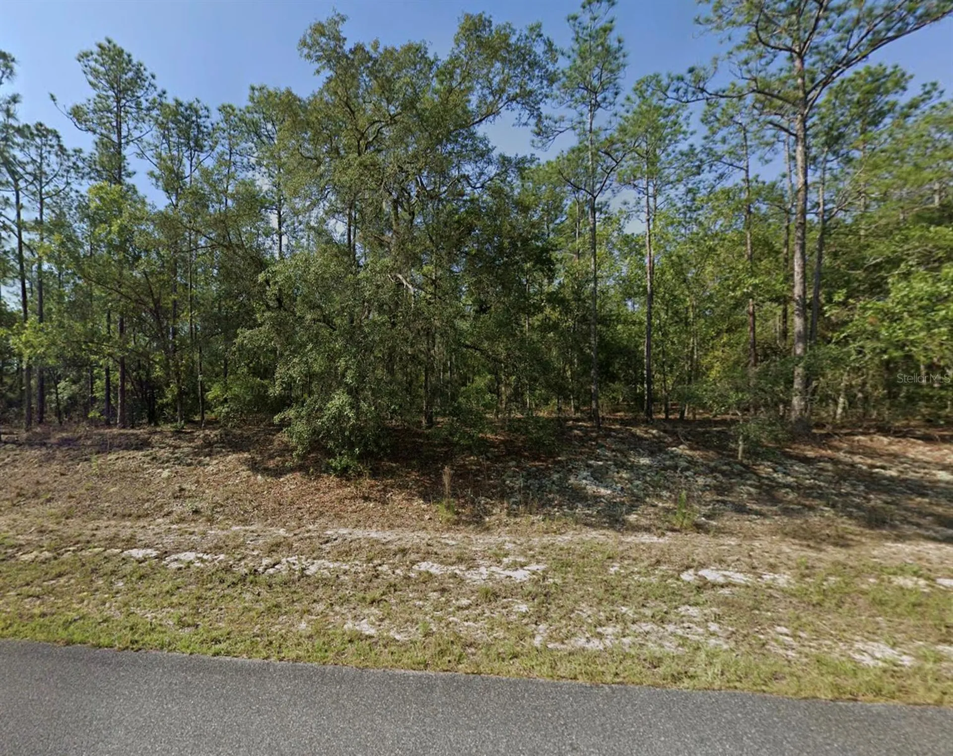 608 E Bimini Drive Dunnellon FL 34434