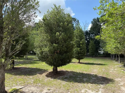 1238 S Us 301 Sumterville FL 33585