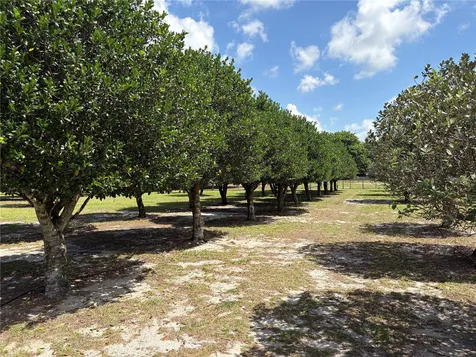 1238 S Us 301 Sumterville FL 33585