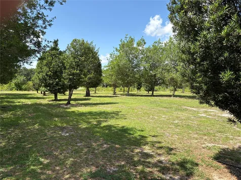 1238 S Us 301 Sumterville FL 33585