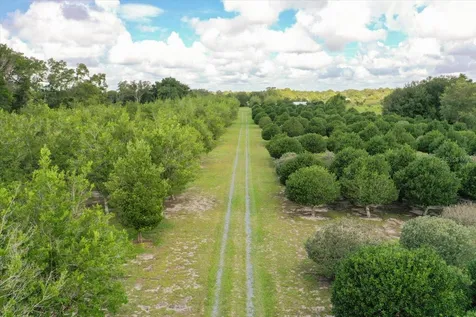 1238 S Us 301 Sumterville FL 33585