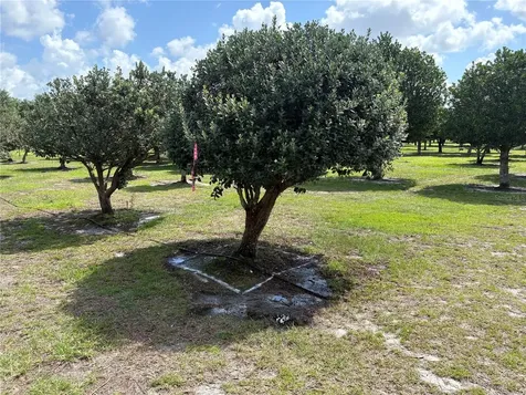 1238 S Us 301 Sumterville FL 33585