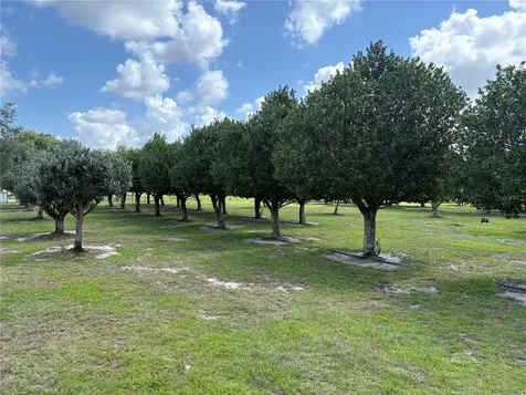 1238 S Us 301 Sumterville FL 33585