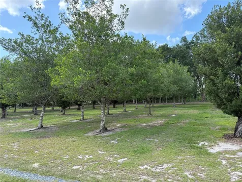 1238 S Us 301 Sumterville FL 33585