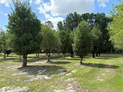 1238 S Us 301 Sumterville FL 33585