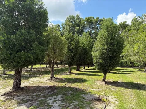 1238 S Us 301 Sumterville FL 33585