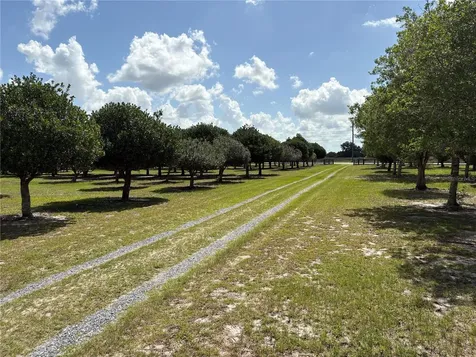 1238 S Us 301 Sumterville FL 33585