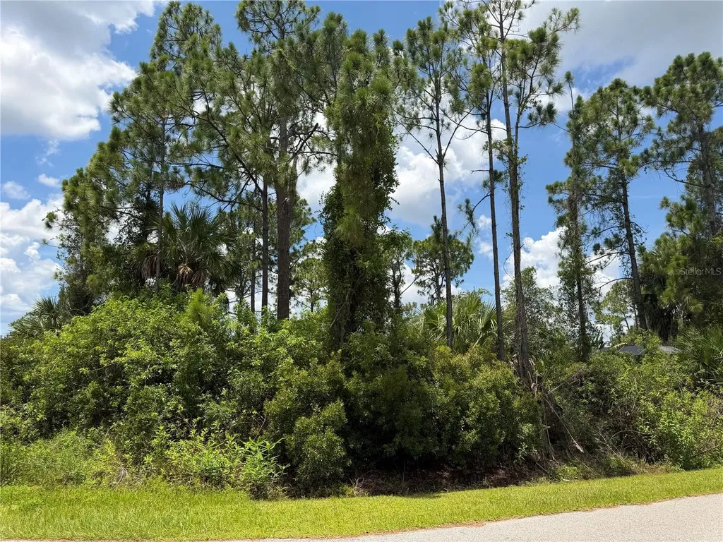 Ring Street North Port FL 34286