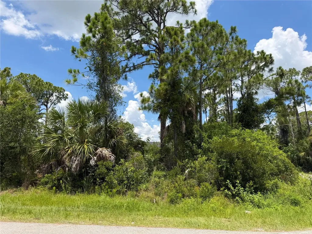 Ring Street North Port FL 34286