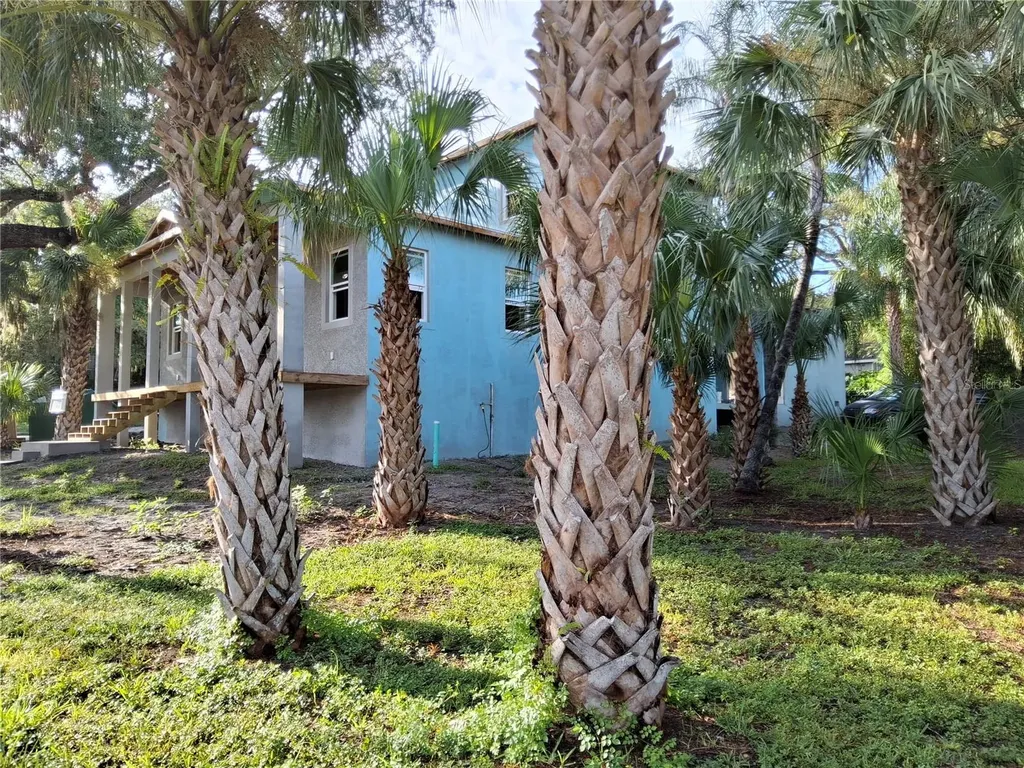 383 Georgia Avenue Crystal Beach FL 34681