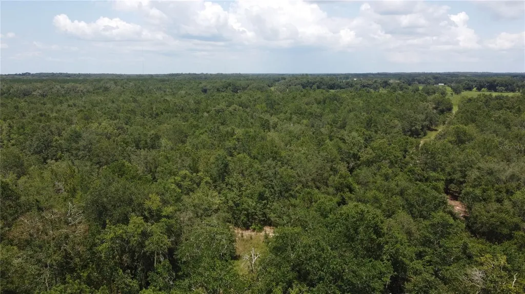 138TH Street Live Oak FL 32060