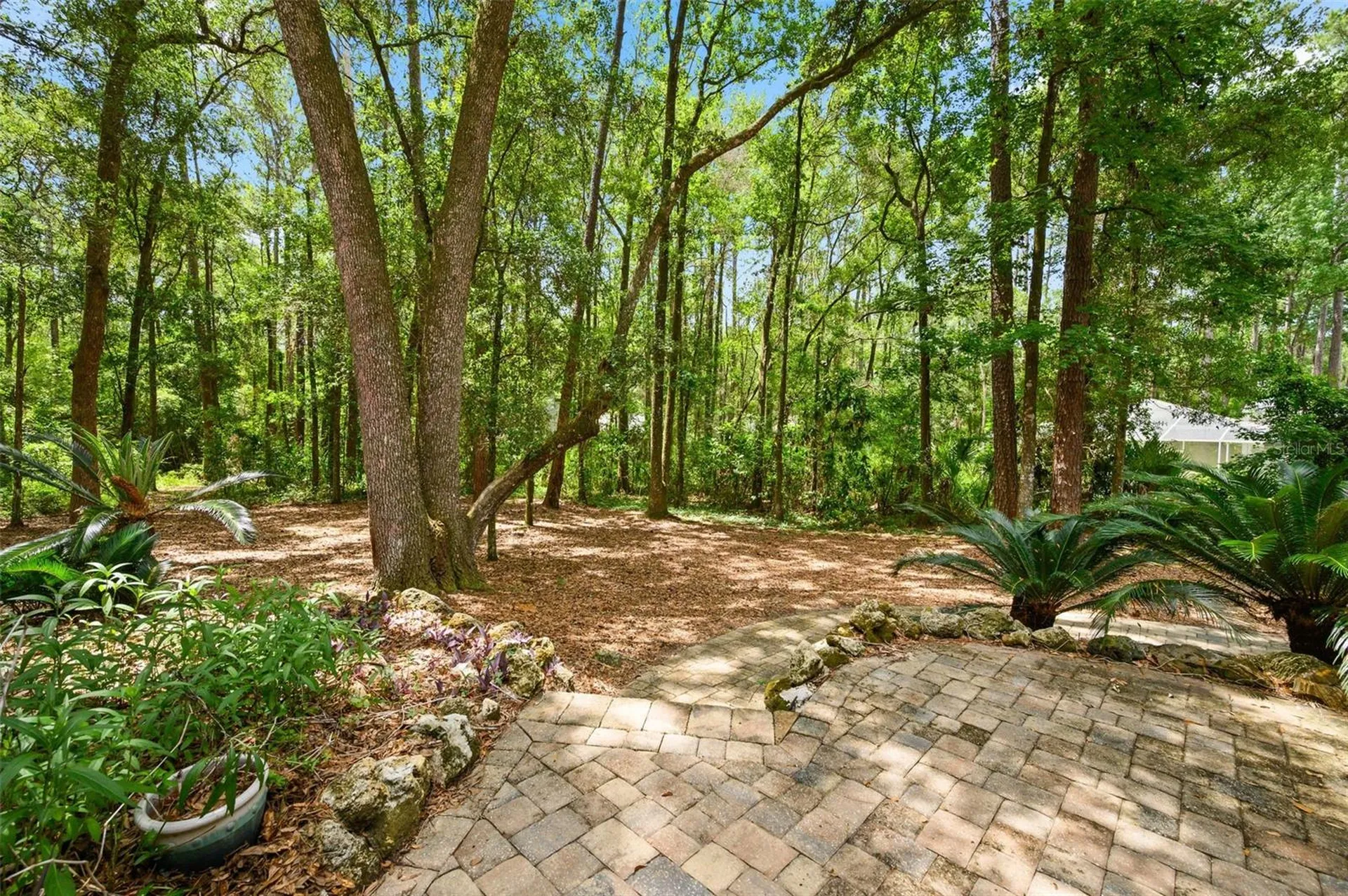 4427 SW 84th Way Gainesville FL 32608