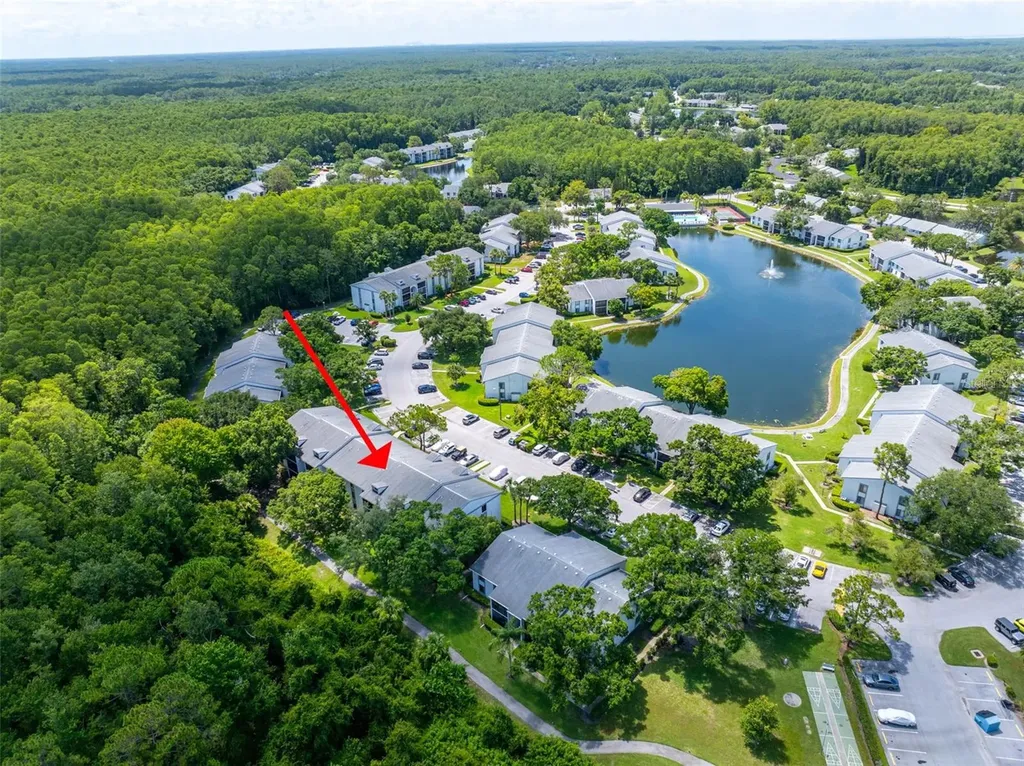 1182 Pine Ridge Circle W Tarpon Springs FL 34688