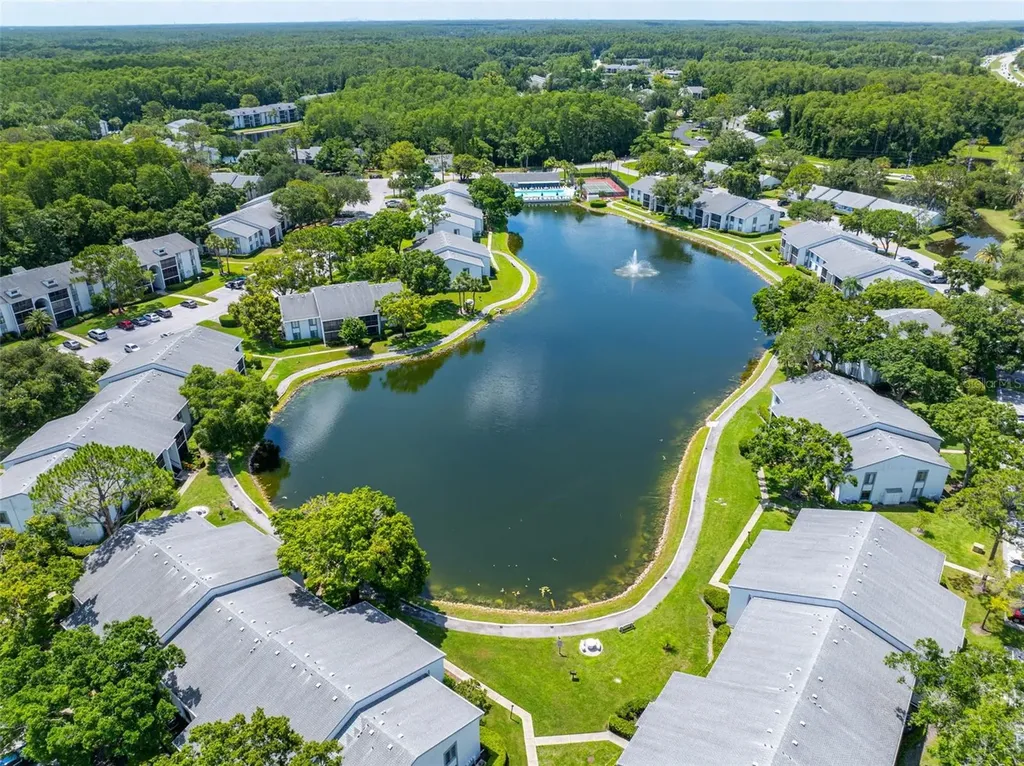 1182 Pine Ridge Circle W Tarpon Springs FL 34688