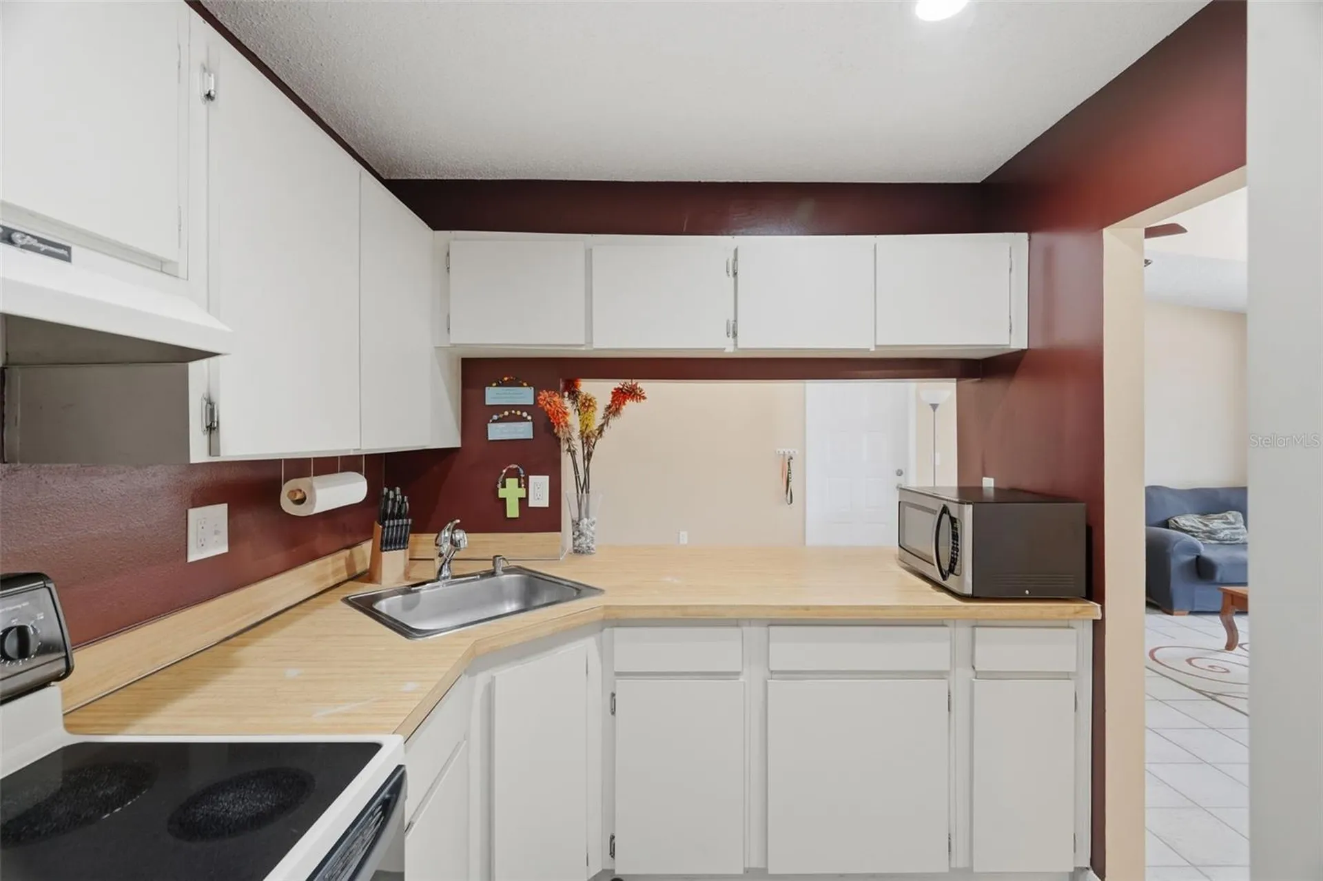1182 Pine Ridge Circle W Tarpon Springs FL 34688