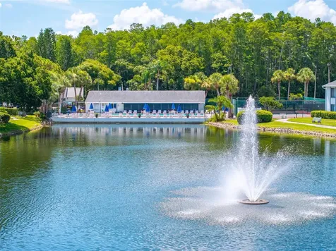 1182 Pine Ridge Circle W Tarpon Springs FL 34688