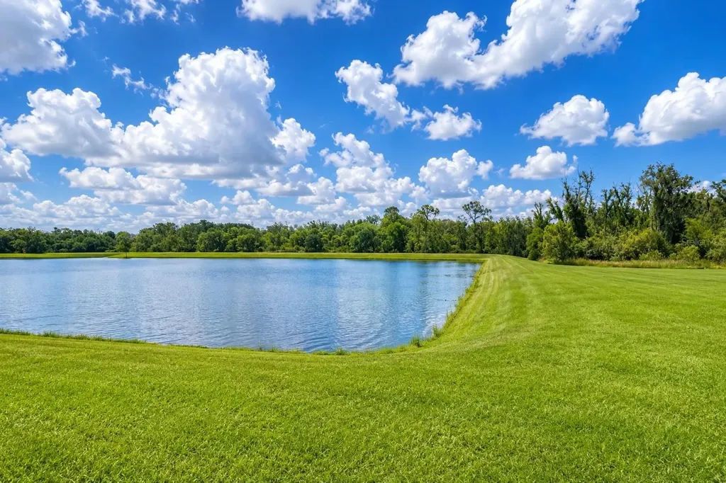 17132 White Mangrove Drive Wimauma FL 33598