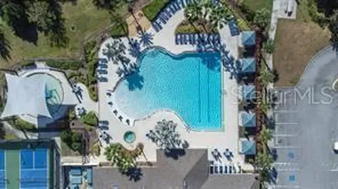 17132 White Mangrove Drive Wimauma FL 33598
