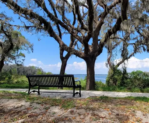 17398 Channel Way Winter Garden FL 34787