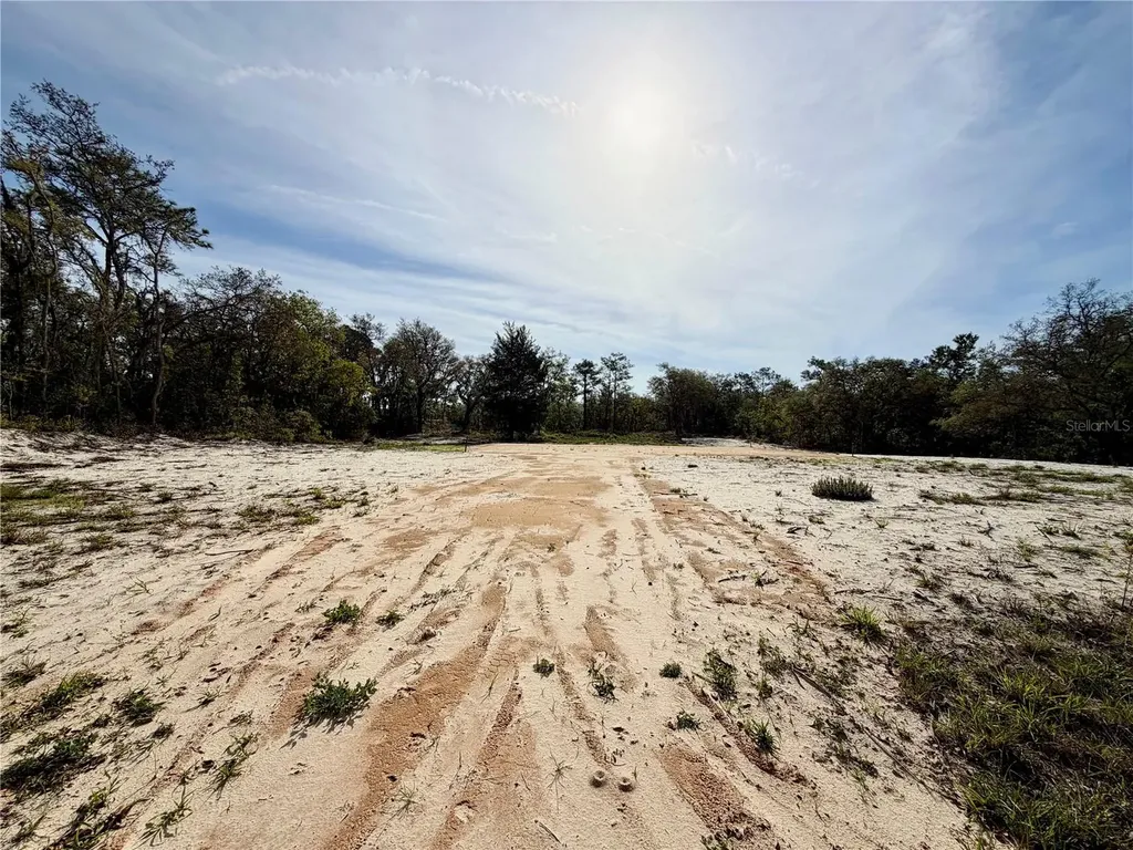 0 Wagers Drive Webster FL 33597