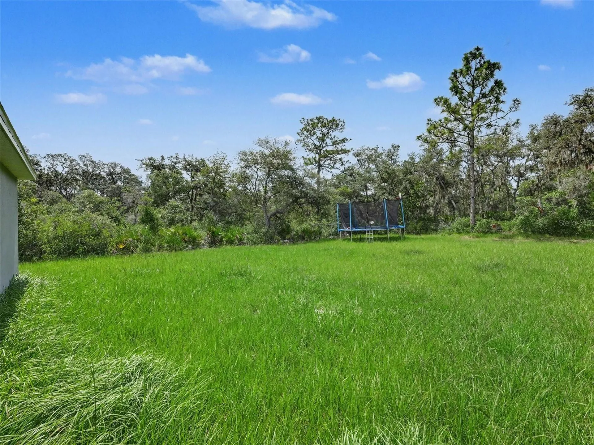 305 Bowfin Drive Kissimmee FL 34759