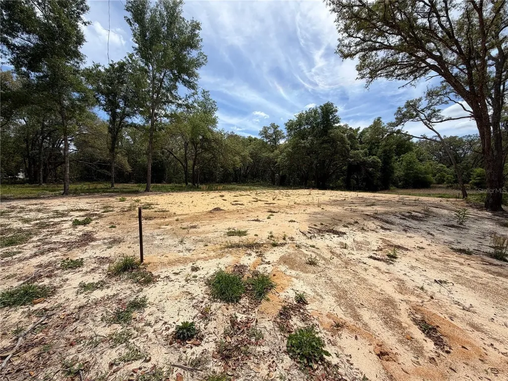 0 Wheystone Drive Webster FL 33597