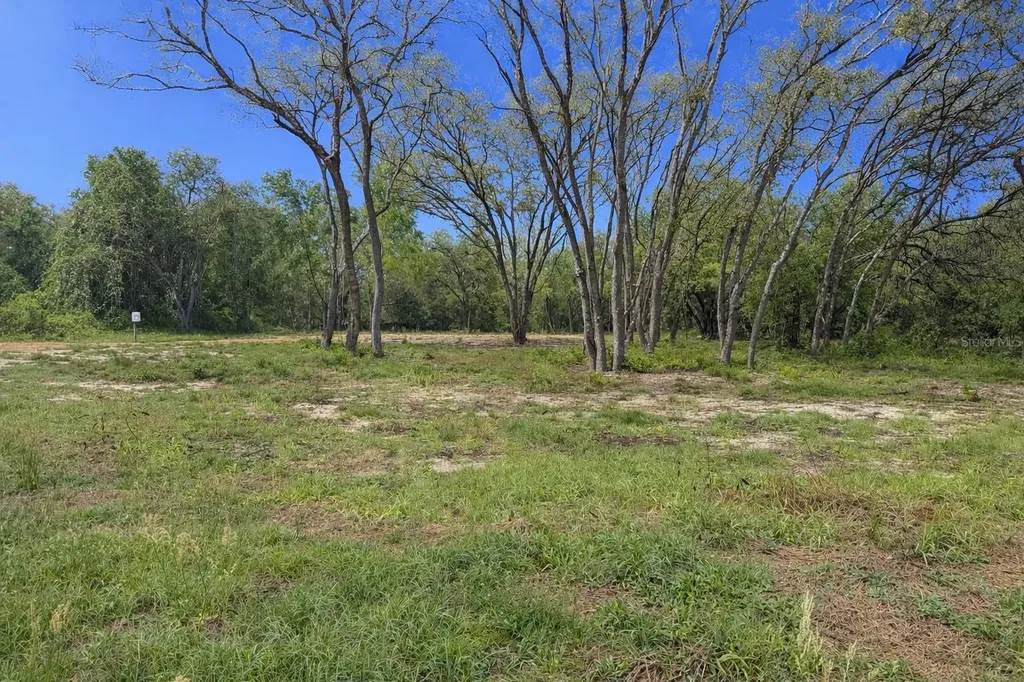 0 Wheystone Drive Webster FL 33597