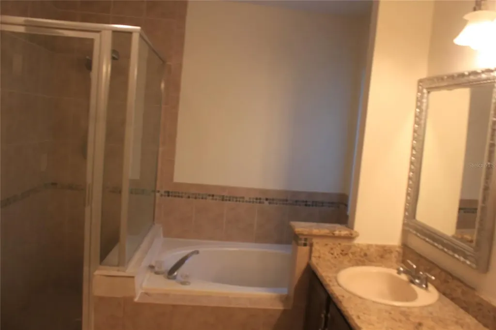 10579 Satinwood Circle Orlando FL 32825