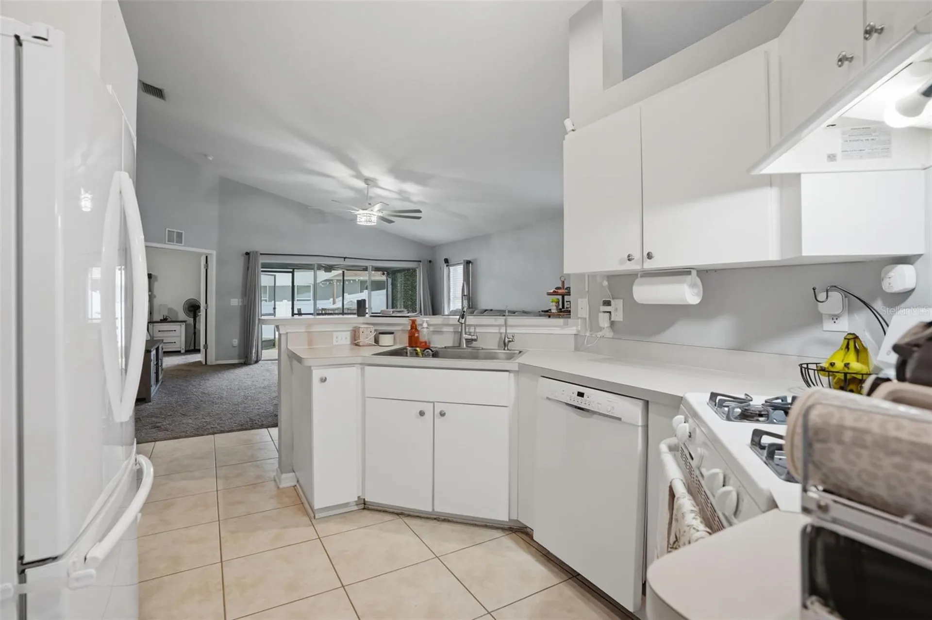 12703 Bramfield Drive Riverview FL 33579