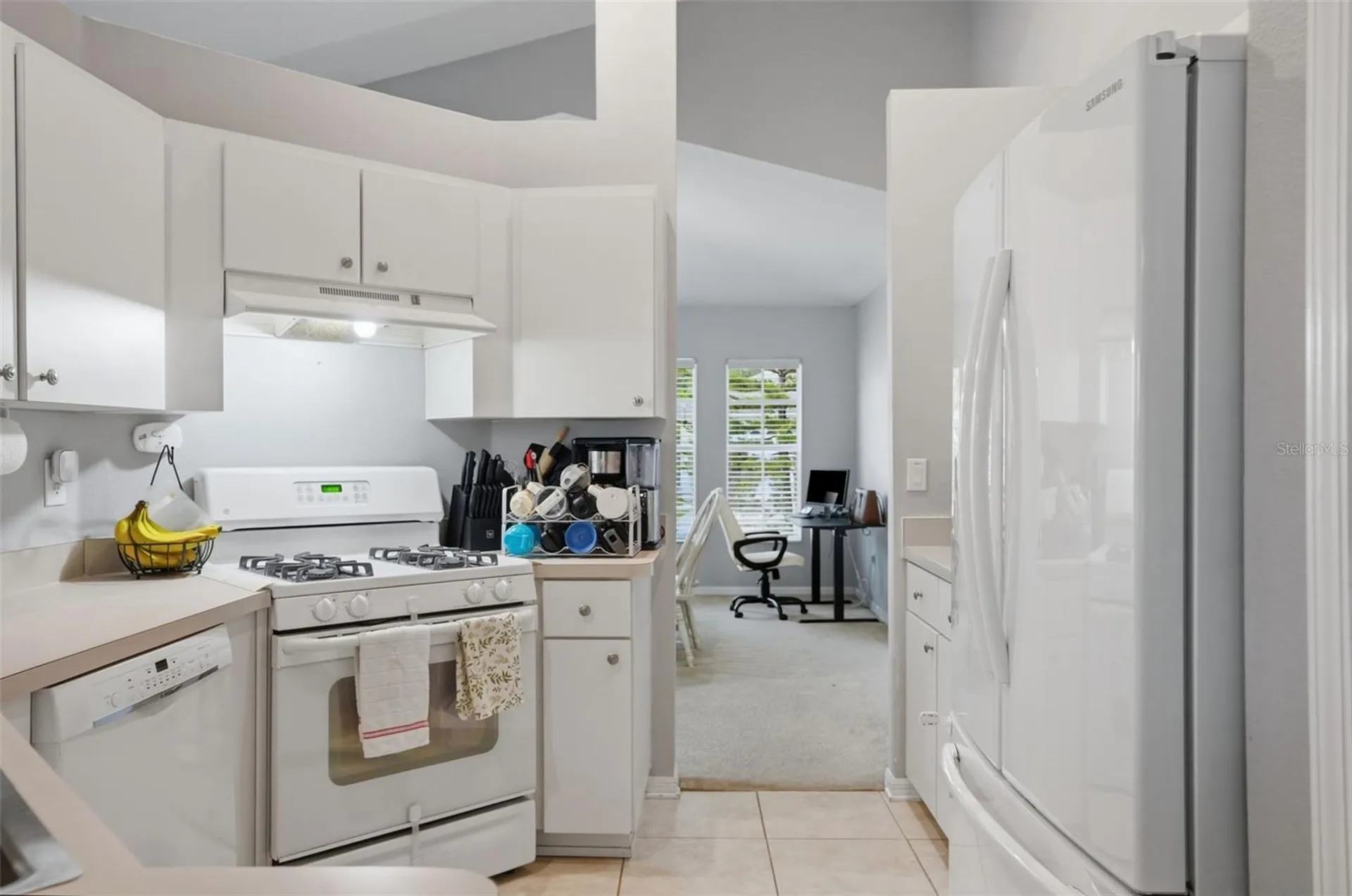 12703 Bramfield Drive Riverview FL 33579