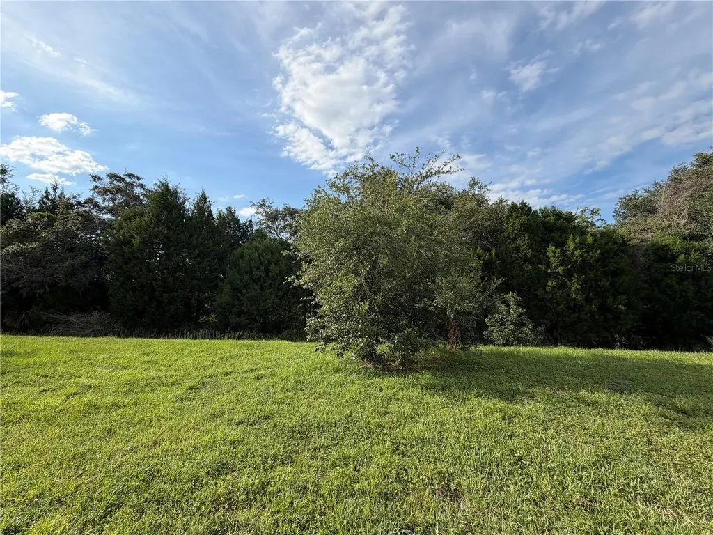 4503 Tahoe Circle Clermont FL 34714