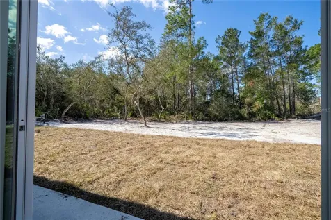 42021 Tamarac Street Eustis FL 32736